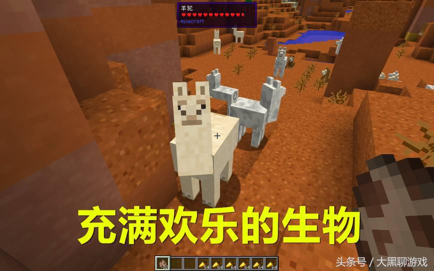 Minecraft所有可驯服生物，鹦鹉羊驼在列，驯服末影龙？没问题！
