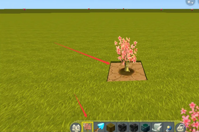 迷你世界怎么种桃树？
